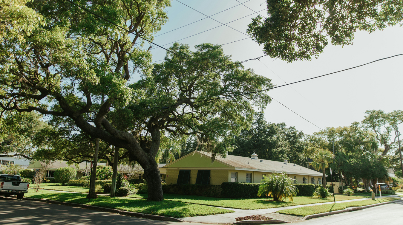 A suburban street lined with large trees and single-story houses with well-maintained lawns on a sunny day.