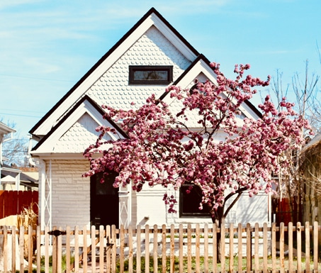A white house with a steep roof stands behind a wooden picket fence and a blooming pink tree under a clear blue sky.